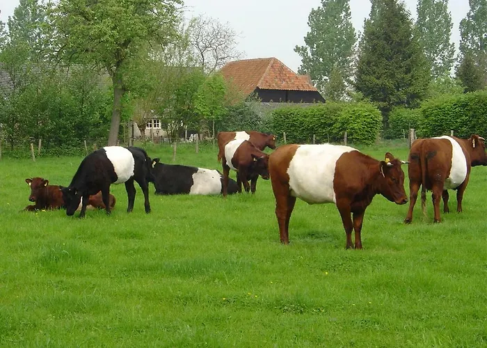 De Hopbel & Het Koevinkje