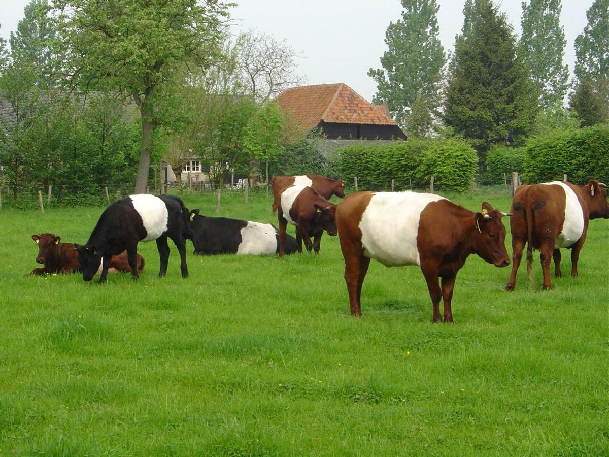 De Hopbel & Het Koevinkje